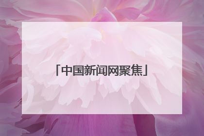 中国新闻网聚焦