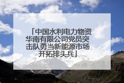 中国水利电力物资华南有限公司党员突击队勇当新能源市场开拓排头兵
