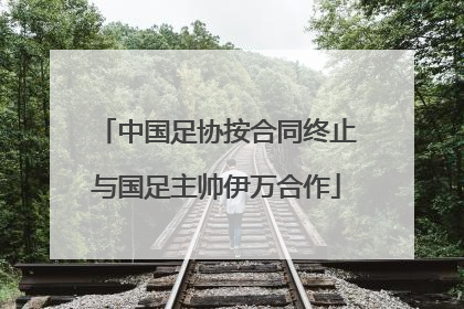 中国足协按合同终止与国足主帅伊万合作