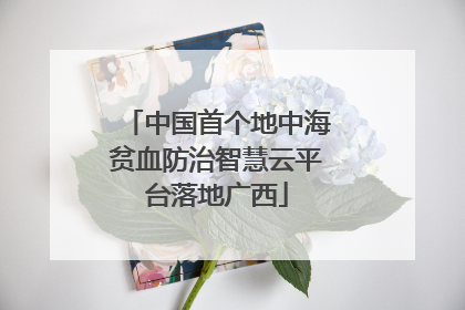 中国首个地中海贫血防治智慧云平台落地广西