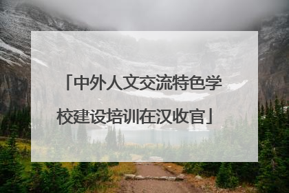 中外人文交流特色学校建设培训在汉收官