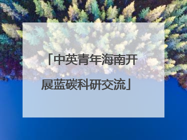 中英青年海南开展蓝碳科研交流