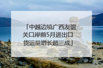 中越边境广西友谊关口岸前5月进出口货运量增长超三成