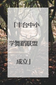 丰台中小学舞蹈联盟成立