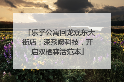 乐乎公寓回龙观东大街店：深系暖科技，开启双栖森活范本