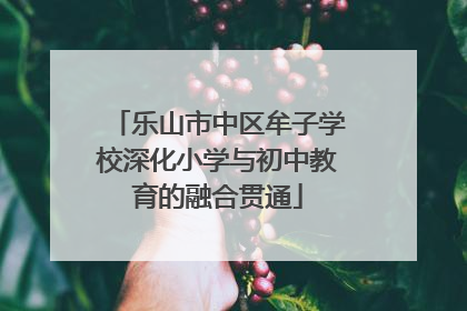 乐山市中区牟子学校深化小学与初中教育的融合贯通