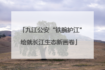 九江公安“铁腕护江”绘就长江生态新画卷
