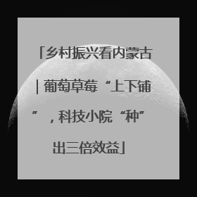 乡村振兴看内蒙古｜葡萄草莓“上下铺”，科技小院“种”出三倍效益