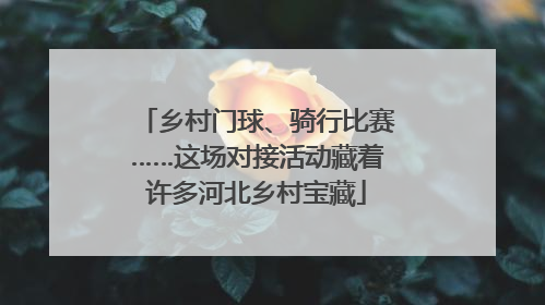乡村门球、骑行比赛……这场对接活动藏着许多河北乡村宝藏