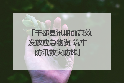 于都县汛期前高效发放应急物资 筑牢防汛救灾防线