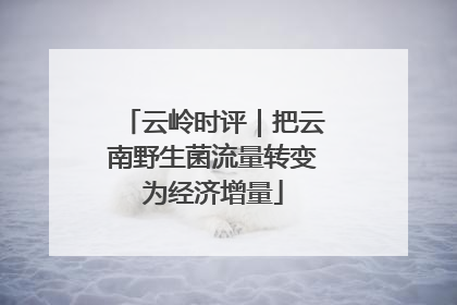 云岭时评｜把云南野生菌流量转变为经济增量