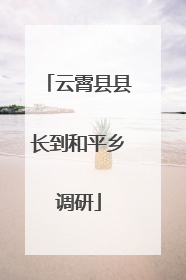 云霄县县长到和平乡调研