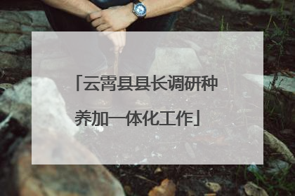 云霄县县长调研种养加一体化工作