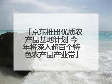 京东推出优质农产品基地计划 今年将深入超百个特色农产品产业带