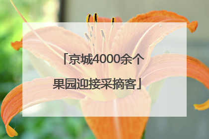 京城4000余个果园迎接采摘客