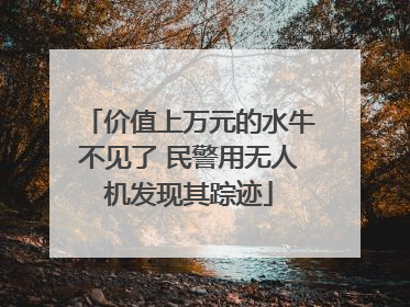 价值上万元的水牛不见了 民警用无人机发现其踪迹