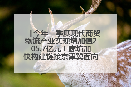 今年一季度现代商贸物流产业实现增加值205.7亿元！廊坊加快构建链接京津冀面向全世界的物流通道