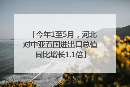 今年1至5月，河北对中亚五国进出口总值同比增长1.1倍