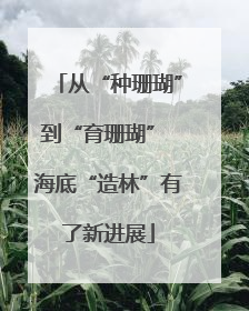 从“种珊瑚”到“育珊瑚” 海底“造林”有了新进展
