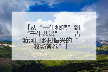 从“一牛独鸣”到“千牛共舞”——古渡河口乡村振兴的“牧场答卷”