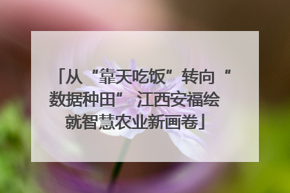 从“靠天吃饭”转向“数据种田” 江西安福绘就智慧农业新画卷