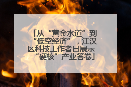 从“黄金水道”到“低空经济”，江汉区科技工作者日展示“硬核”产业答卷
