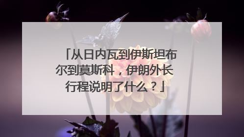 从日内瓦到伊斯坦布尔到莫斯科，伊朗外长行程说明了什么？