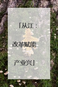 从江：改革赋能产业兴