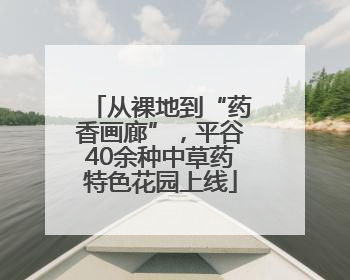 从裸地到“药香画廊”，平谷40余种中草药特色花园上线