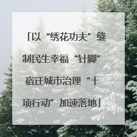 以“绣花功夫”缝制民生幸福“针脚” 宿迁城市治理“十项行动”加速落地
