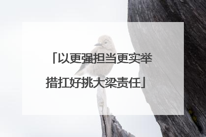 以更强担当更实举措扛好挑大梁责任