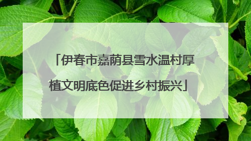 伊春市嘉荫县雪水温村厚植文明底色促进乡村振兴