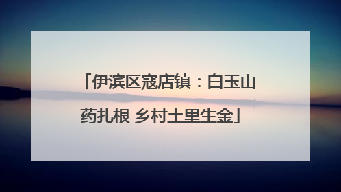伊滨区寇店镇：白玉山药扎根 乡村土里生金