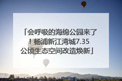 会呼吸的海绵公园来了！杨浦新江湾城7.35公顷生态空间改造焕新