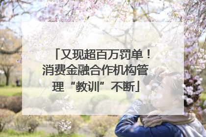 又现超百万罚单！消费金融合作机构管理“教训”不断