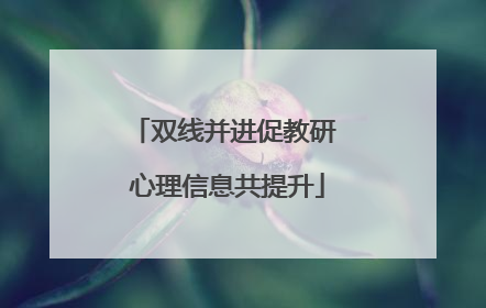 双线并进促教研 心理信息共提升