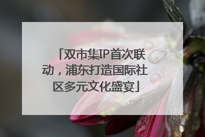 双市集IP首次联动，浦东打造国际社区多元文化盛宴