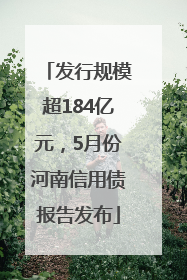 发行规模超184亿元，5月份河南信用债报告发布