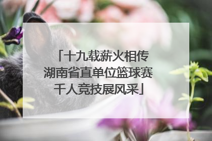 十九载薪火相传 湖南省直单位篮球赛千人竞技展风采