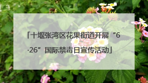 十堰张湾区花果街道开展“6·26”国际禁毒日宣传活动