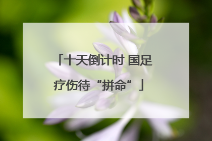 十天倒计时 国足疗伤待“拼命”