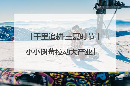 千里追耕·三夏时节丨小小树莓拉动大产业