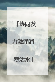 协同发力激涌消费活水