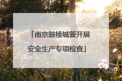 南京鼓楼城管开展安全生产专项检查