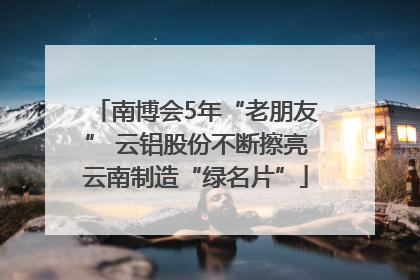 南博会5年“老朋友” 云铝股份不断擦亮云南制造“绿名片”