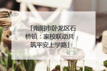南阳市卧龙区石桥镇：家校联动共筑平安上学路