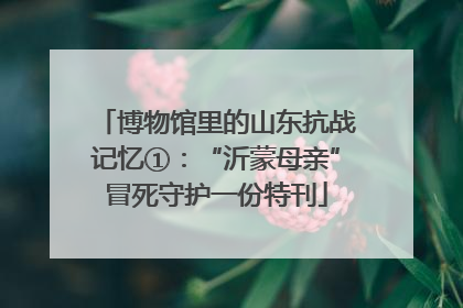 博物馆里的山东抗战记忆①：“沂蒙母亲”冒死守护一份特刊