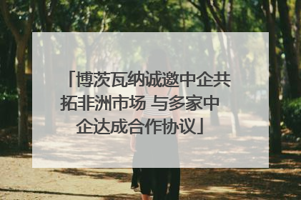 博茨瓦纳诚邀中企共拓非洲市场 与多家中企达成合作协议