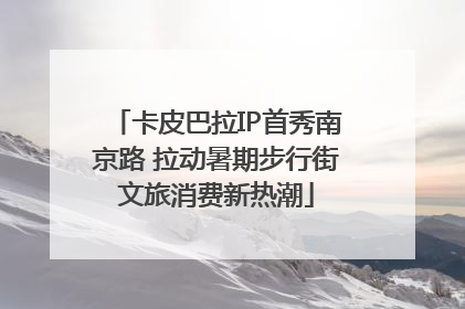 卡皮巴拉IP首秀南京路 拉动暑期步行街文旅消费新热潮