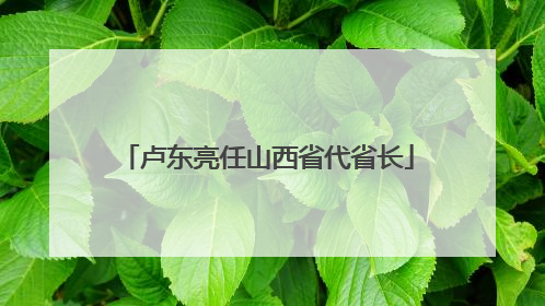 卢东亮任山西省代省长